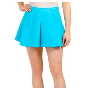 NWT ZARA Pleated Skirt.